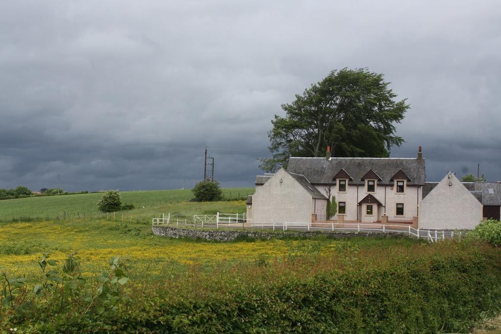The Barn Lodge Stirling Extérieur photo